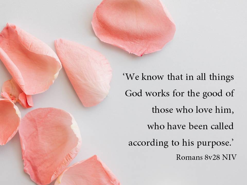 romans 8 v 28