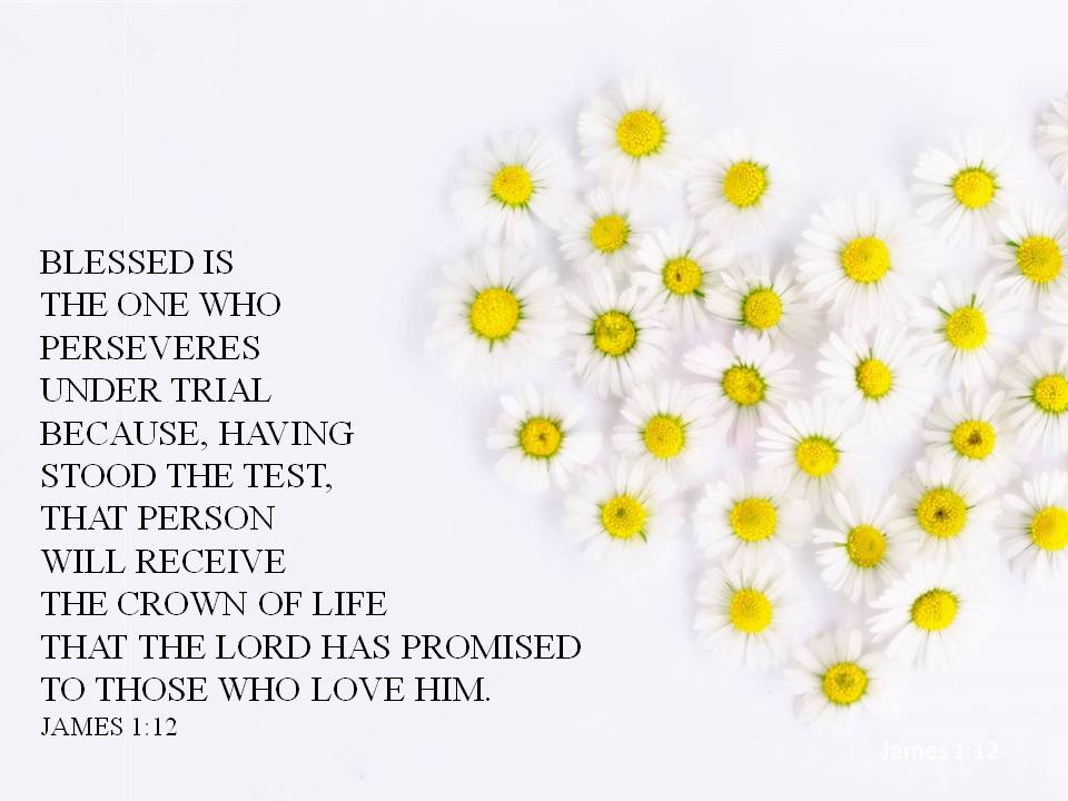 james 1 v 12