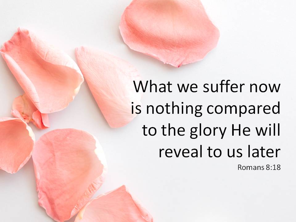 romans 8 v 18